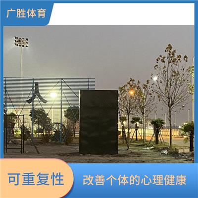 心理行为训练荡绳飞渡器材 情绪调节 提高情绪管理能力