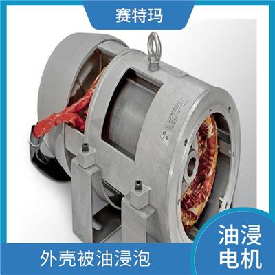 武汉油浸电机厂家 维护成本较低 保证电机的正常运行