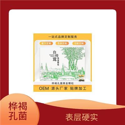 白桦茸哪家好 表层硬实 有不规则沟痕