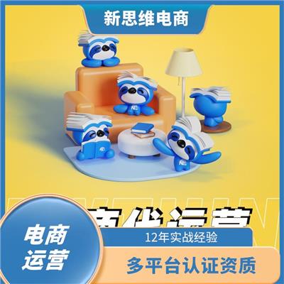 漳州电商代运营公司排名 拼多多代运营