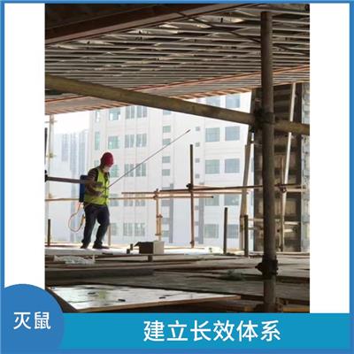 大朗灭鼠公司 降低经济损失 营造良好的生活环境