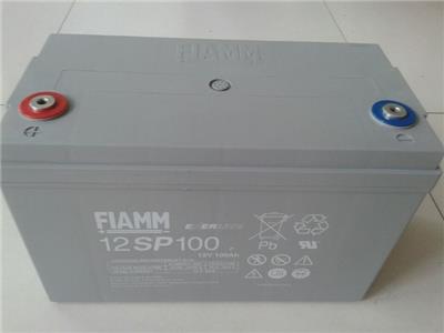 FALMM非凡蓄电池12SP100 12V100AH医疗器械精密仪器