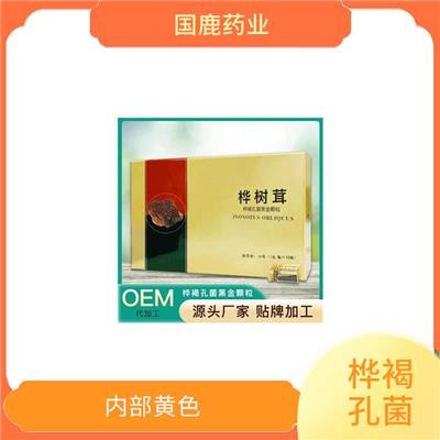 白桦茸oem 活性很强 生长周期长