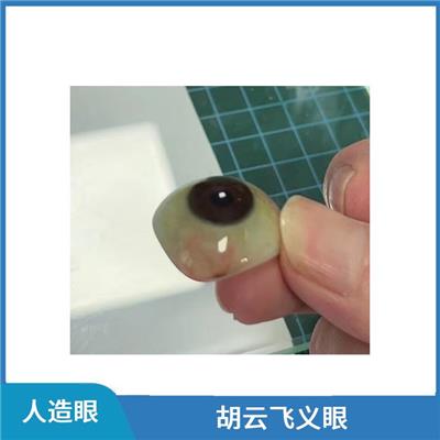 义眼片多少钱一个 假眼 全国连锁店