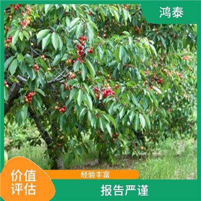 武汉市果园评估 一对一服务 评估流程标准化