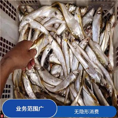 深圳比目鱼进口清关电话 信息化程度高 服务范围广