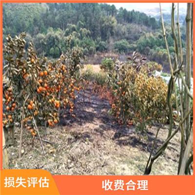 武汉市山林火灾损失评估 评估效率高 评估业务范围广