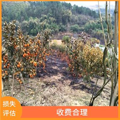 白山市古玩字画古建筑损失价值评估 经验丰富 服务完善