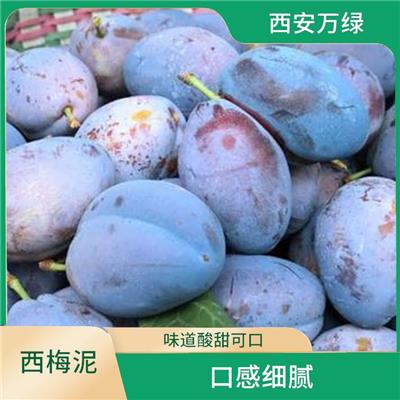 密封盖设计 果泥芳香甜美 西梅果肉泥