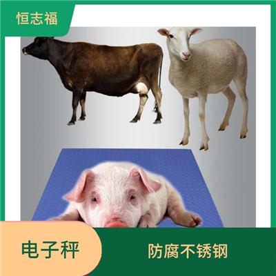 电子汽车衡 地磅厂家 防锈不锈钢304材质