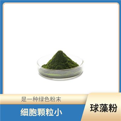 富含EPA等不饱和脂肪酸 小球藻粉 细胞颗粒小
