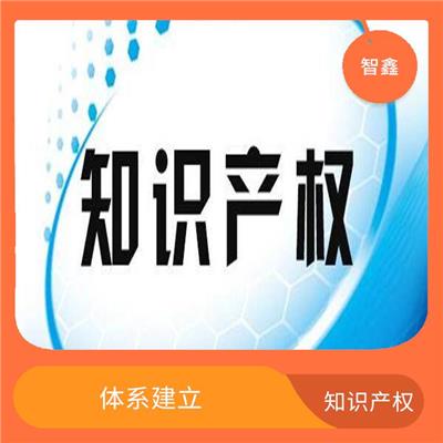 知识产权贯标申报 经验丰富 被全世界广泛接受