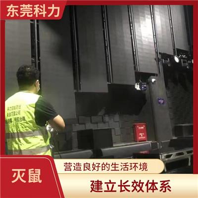 沙田灭鼠公司 降低传播率 营造良好的生活环境