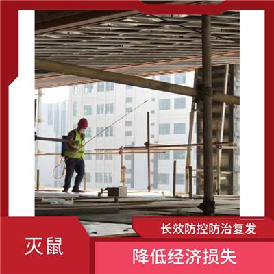 风岗灭鼠公司 建立长效体系 降低病媒生物密度