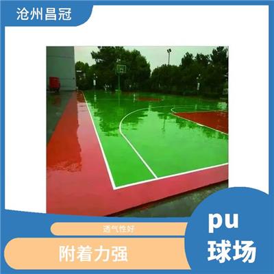 江苏羽毛球场硅pu安装