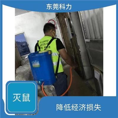 高埗灭鼠公司 减少发病率 长效防控防治复发