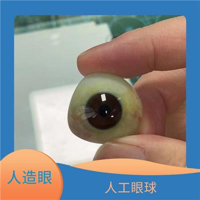 义眼手术费用表 义眼片制作 哪个城市义眼做的比较好
