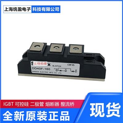 全新 现货 可控硅模块 整流桥模块 IGBT 模块 PE90FG80	SanRex