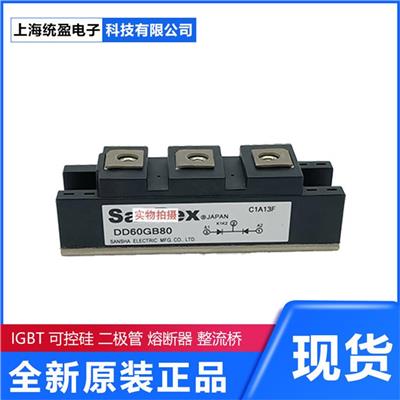 全新 现货 可控硅模块 整流桥模块 IGBT 模块 TG16C60	SanRex