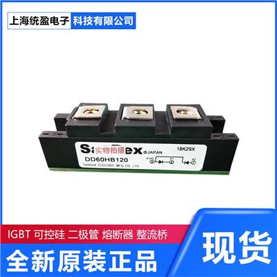 全新 现货 可控硅模块 整流桥模块 IGBT 模块 PE55GB40	SanRex