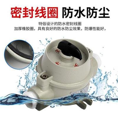 防爆转换开关BHZ51-16A防爆旋钮开关 防爆开关