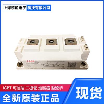 可控硅模块 塞米控 分立器件 现货 SEMIKRON西门康	SKKH162/16E