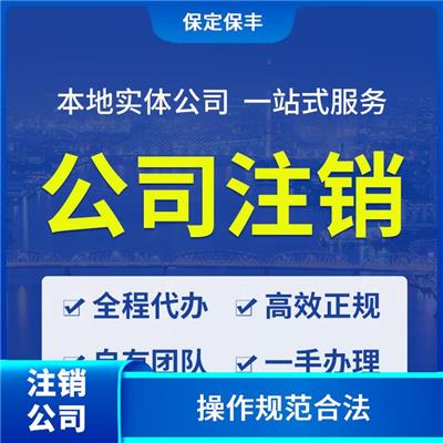 莲池区注销分公司 满足客户需求 一站式全程办理