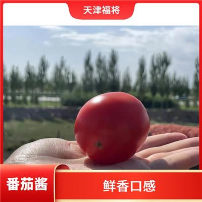 哈密罐装番茄酱厂家 福将食品 大量现货