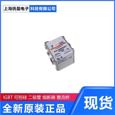 全新现货优势 法国罗兰快速熔断器保险丝 罗兰	PC44UD55V55CTQ