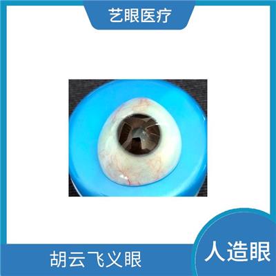 进口系列 义眼片图片 哪个城市义眼做的比较好