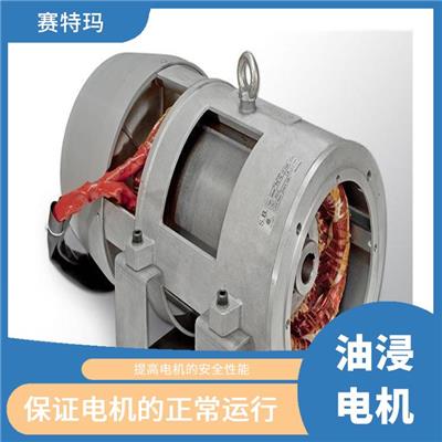 上海油浸电机价格 使用寿命较长 减少电机的振动和噪声