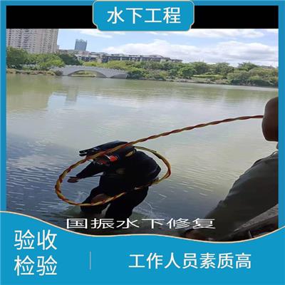 宁德水下安装维修 作业效率高