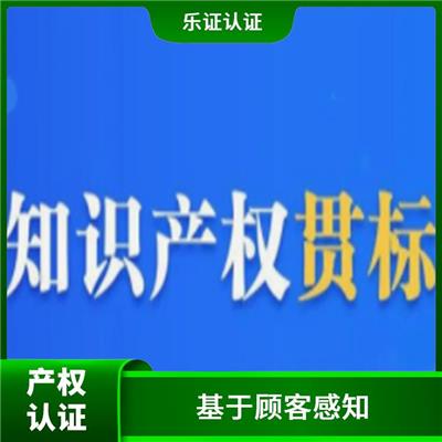 福建知识产权认证申请流程 加强过程控制