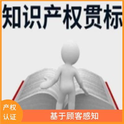 安徽知识产权认证资料 加强过程控制