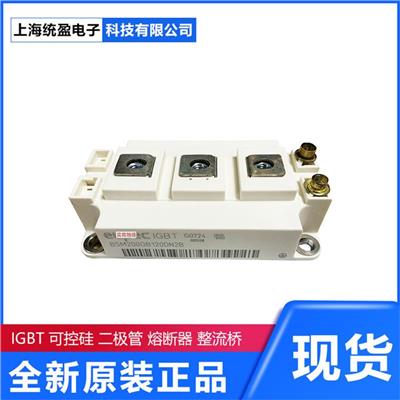 BSM150GD60DLC 英飞凌IGBT模块整流器可控硅Infineon