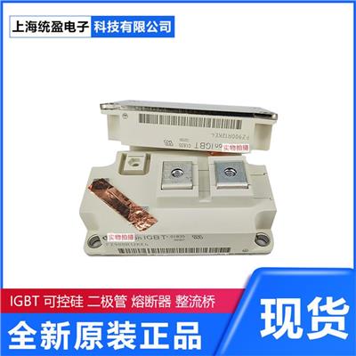 英飞凌IGBT模块整流器可控硅Infineon BSM200GA120DN2S