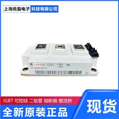 FZ系列BSM系列FS系列FP系列 英飞凌IGBT模块整流器可控硅Infineon DT92N14KOF