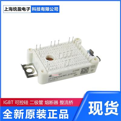 FZ系列BSM系列FS系列FP系列 英飞凌IGBT模块整流器可控硅Infineon D770N20T