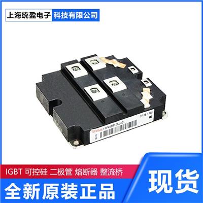 FZ系列BSM系列FS系列FP系列 英飞凌IGBT模块整流器可控硅Infineon BSM50GX120DN2