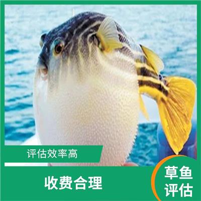 秦皇岛市青虾评估 收费合理 全程标准化操作