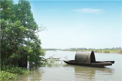 青海乌篷船厂家观光船