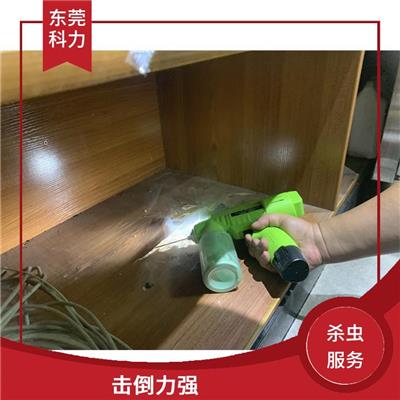 中堂杀虫服务 杀虫迅速 消杀效果好