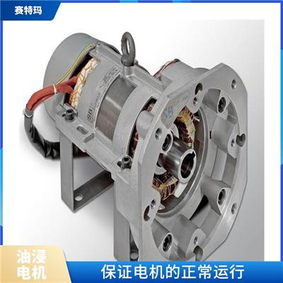 西安油浸电机厂家 负载能力强 提高电机的安全性能
