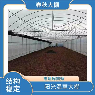 长治春秋蔬菜大棚建设 新型温室大棚 抗风能力强