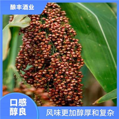 山东茅台镇酱香型白酒 使用蒸馏工艺 满足多类消费者的需求