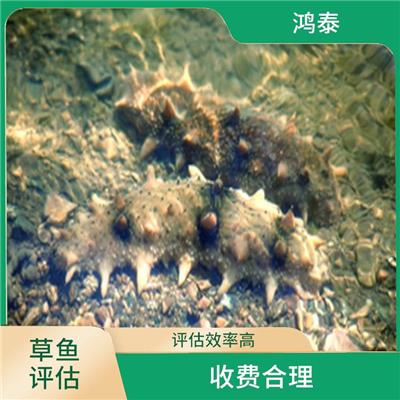大连市海螺评估 一对一服务 全程标准化操作