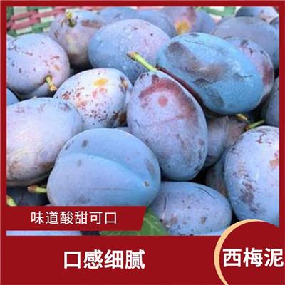 西梅果泥厂家 果泥芳香甜美 口感细腻