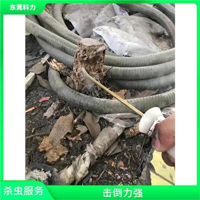 惠城杀虫服务 远离虫害 降低传播率