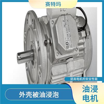 西安油浸电机价格 负载能力强 起到冷却电机的作用