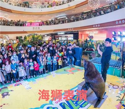 水魔方 提供精彩绝伦海狮表演团队 服务所有人 所有场地